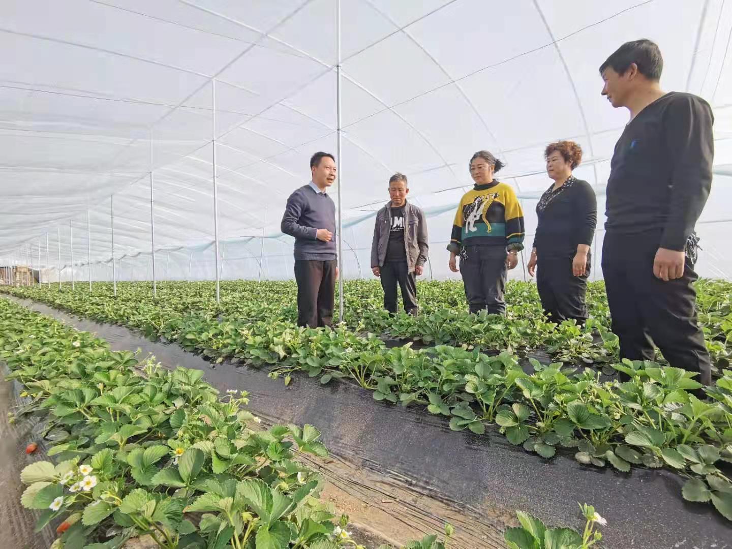 广东省补充耕地种植水果，探索与实践