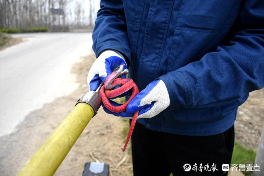 广东省防鸟风车的设计与运用