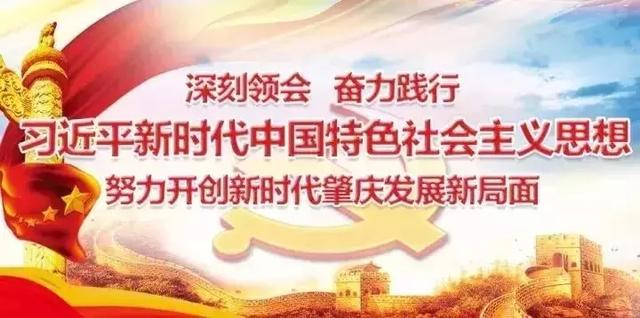 广东省扶贫协作结果，脱贫攻坚的典范与启示