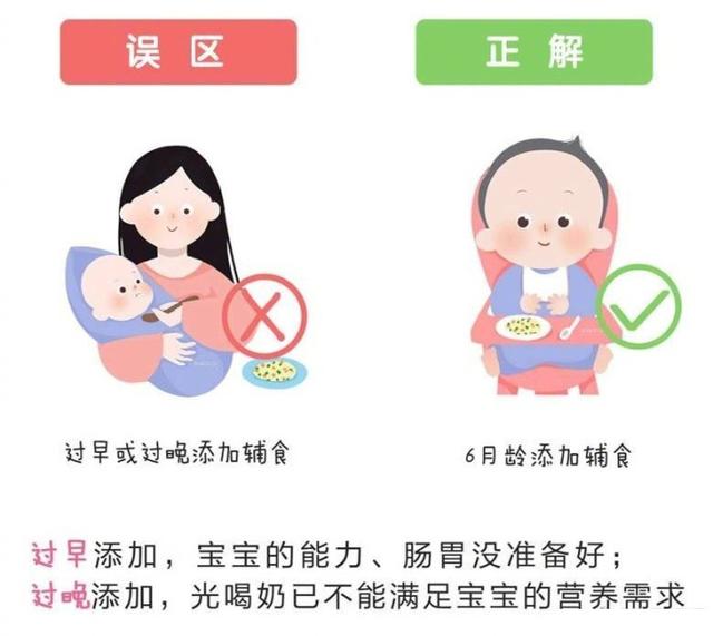 五个月大的宝宝可以添加辅食吗？新手爸妈的辅食添加指南