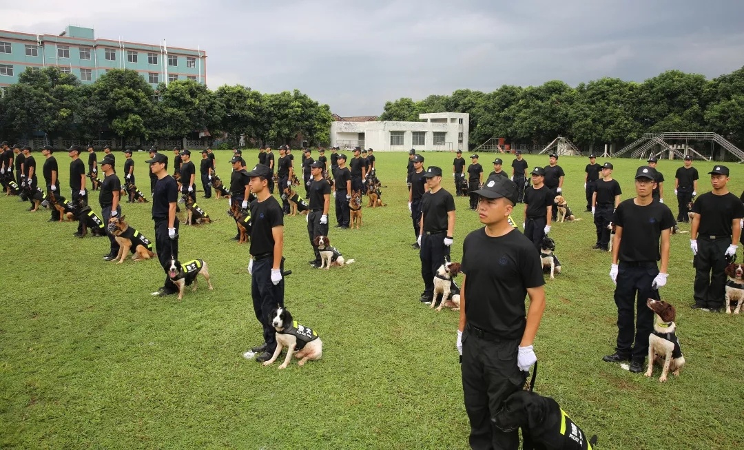 广东省警犬基地学校，培育警犬英才的摇篮