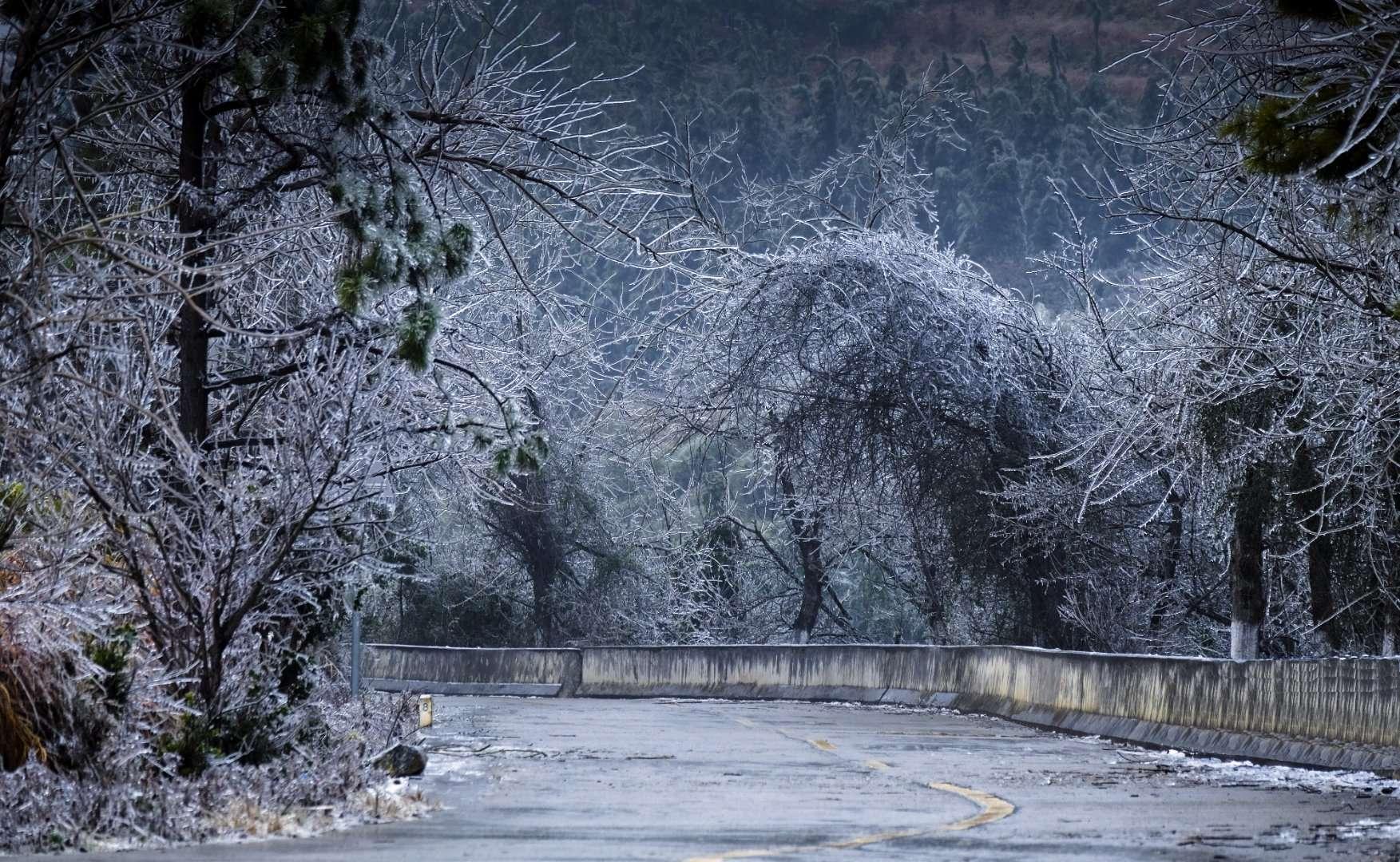 广东省冰雪基地地址与电话，探索冰雪运动的魅力之都