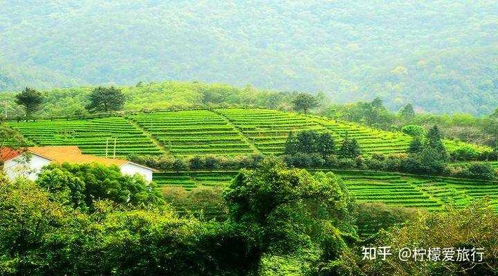 广东省周边农场概览，丰富多样的农业体验之旅