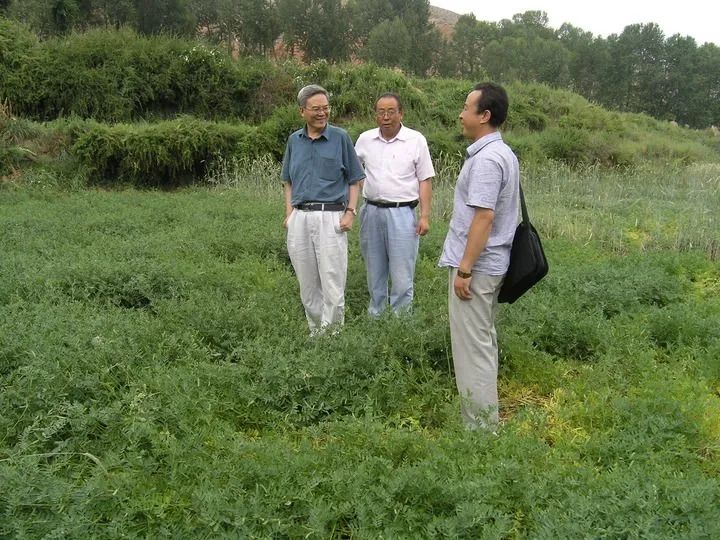 广东省牧草所，探索绿色生态的先锋力量